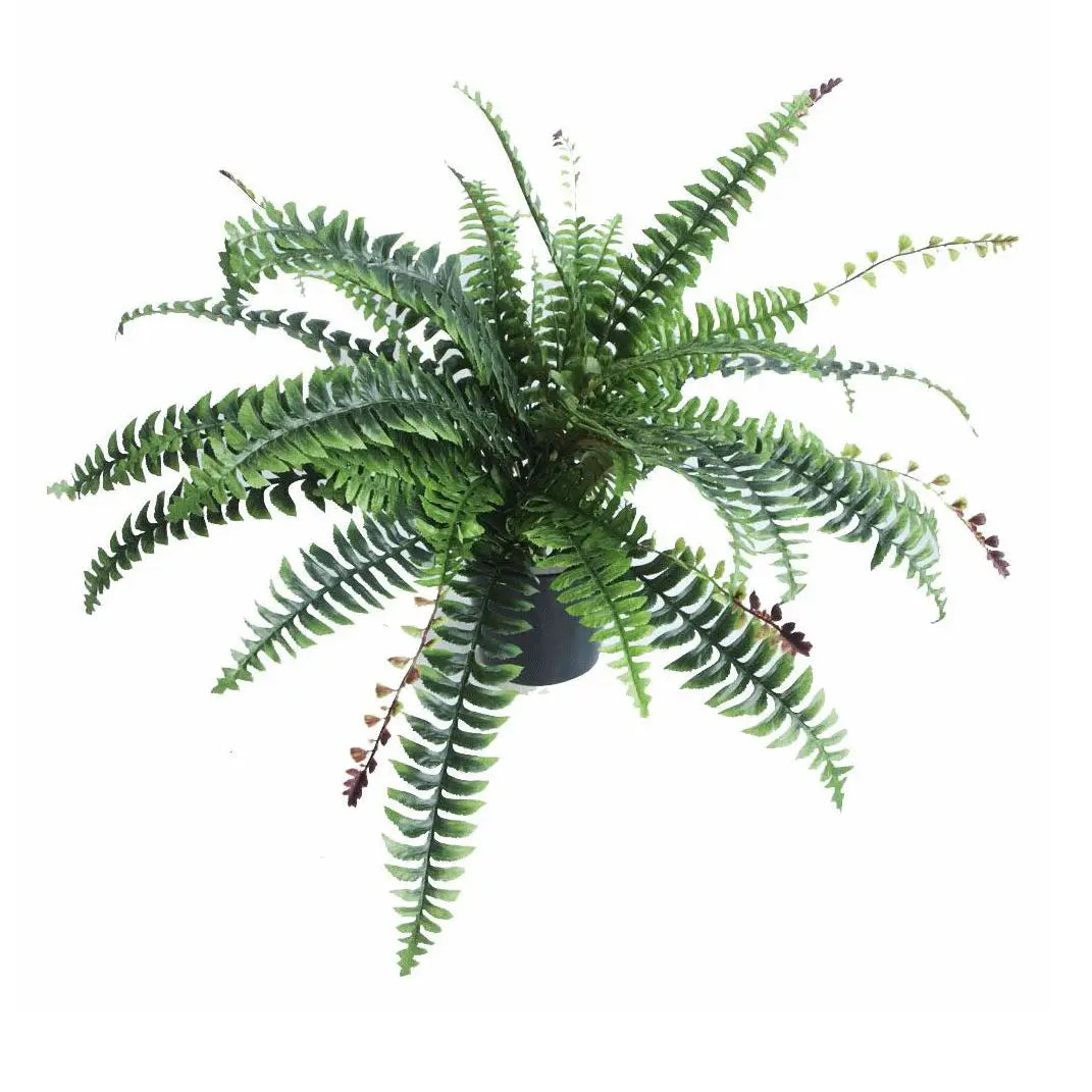 Large Artificial Boston Fern Plant 60cm Plant