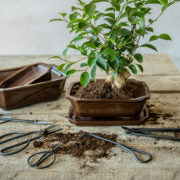 Decorative Metal Bonsai Shears/Scissors