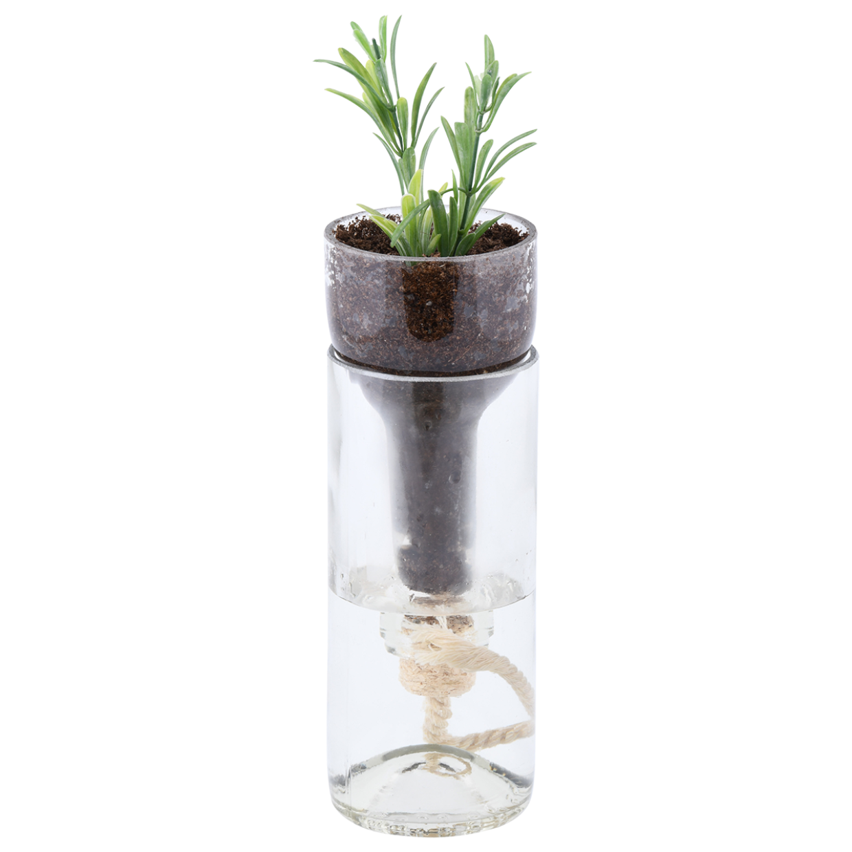 Self Watering Glass Pot / Planter