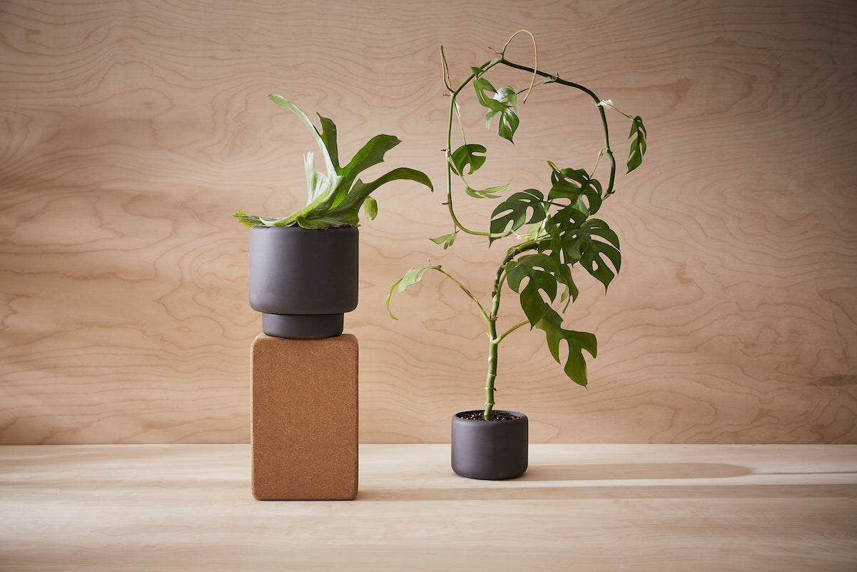 BOTANY plant pot LARGE Black