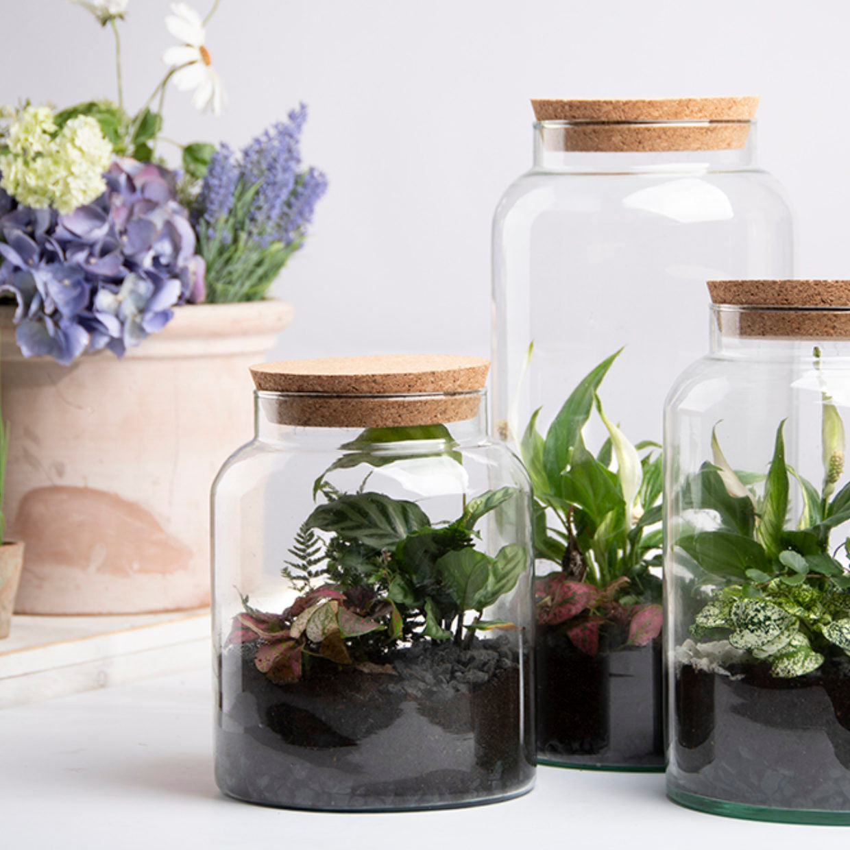 Terrarium Glass