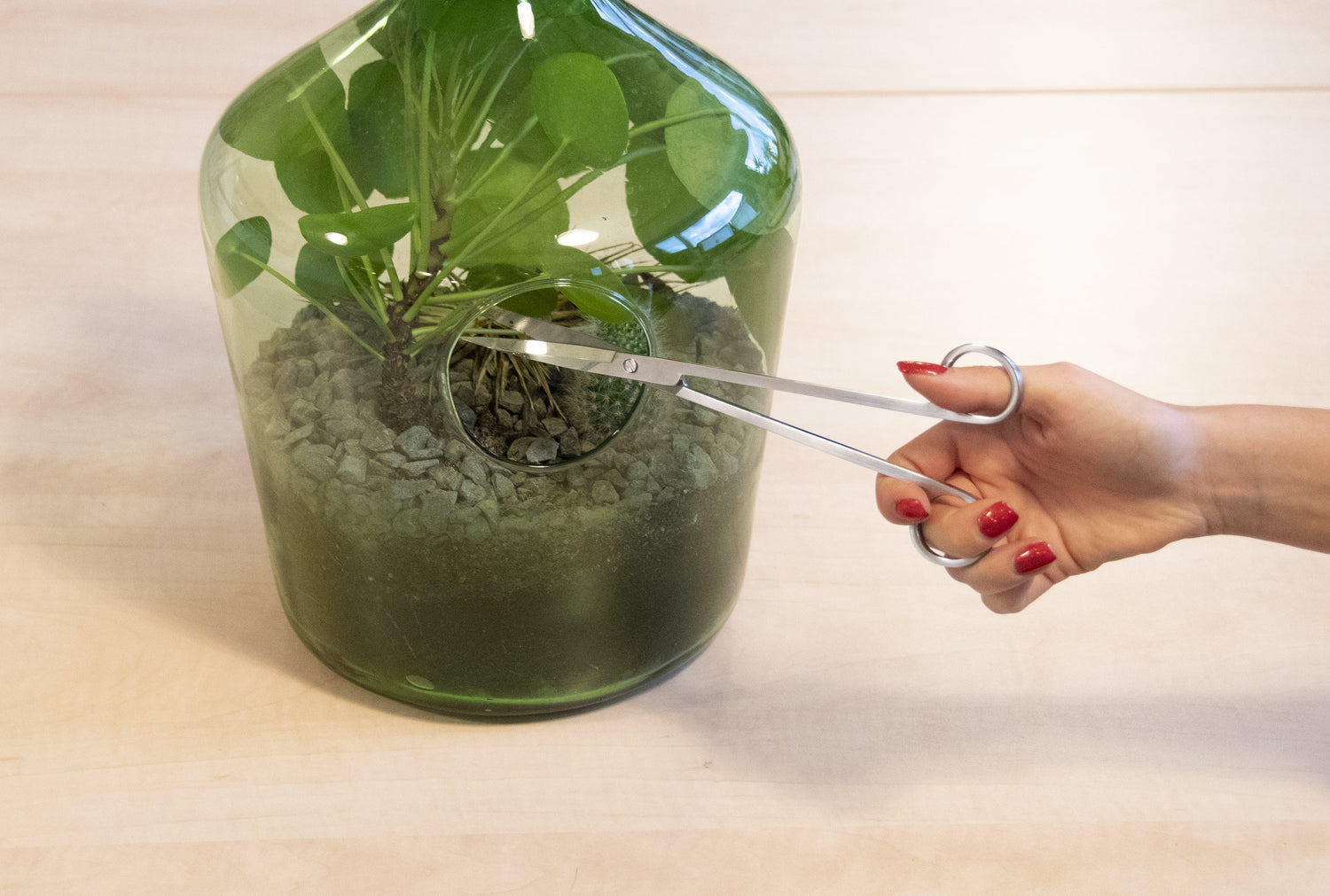 Indoor Garden Tools