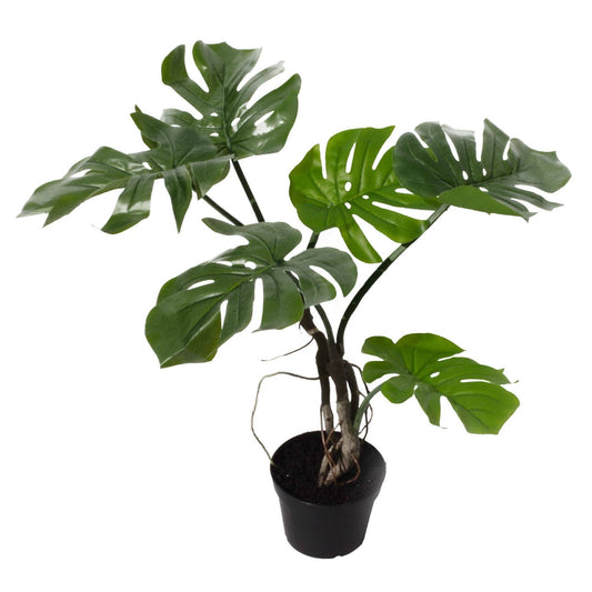 Artificial Monstera Plant |Twisted Cheese Plant | 60CM