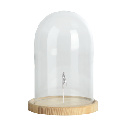 Glass Cloche/Dome on Wooden Base