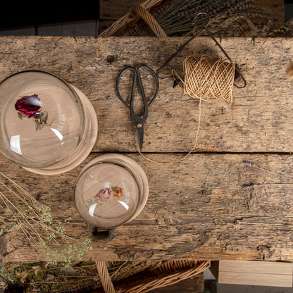 Glass Cloche/Dome on Wooden Base