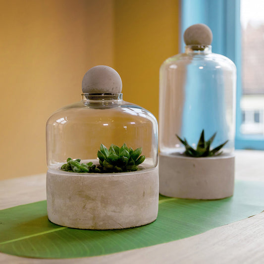 Concrete Based Bottle Terrarium