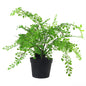 Artificial Fern Plant Pot Maidenhair Fern 35cm Plant