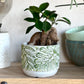 Stone Leaf pot | Concrete/Green | Ø9cm