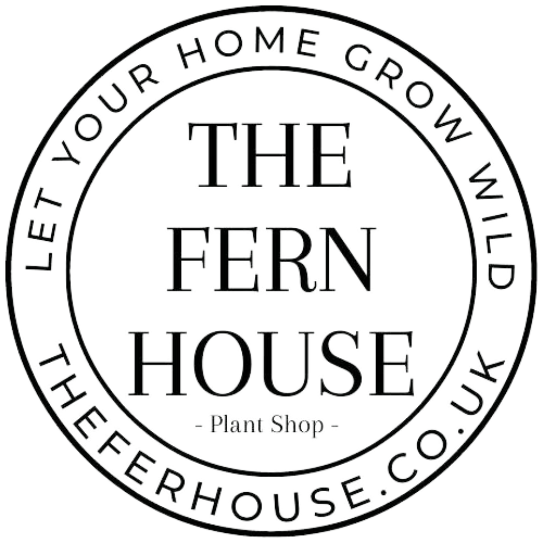 The Fern House