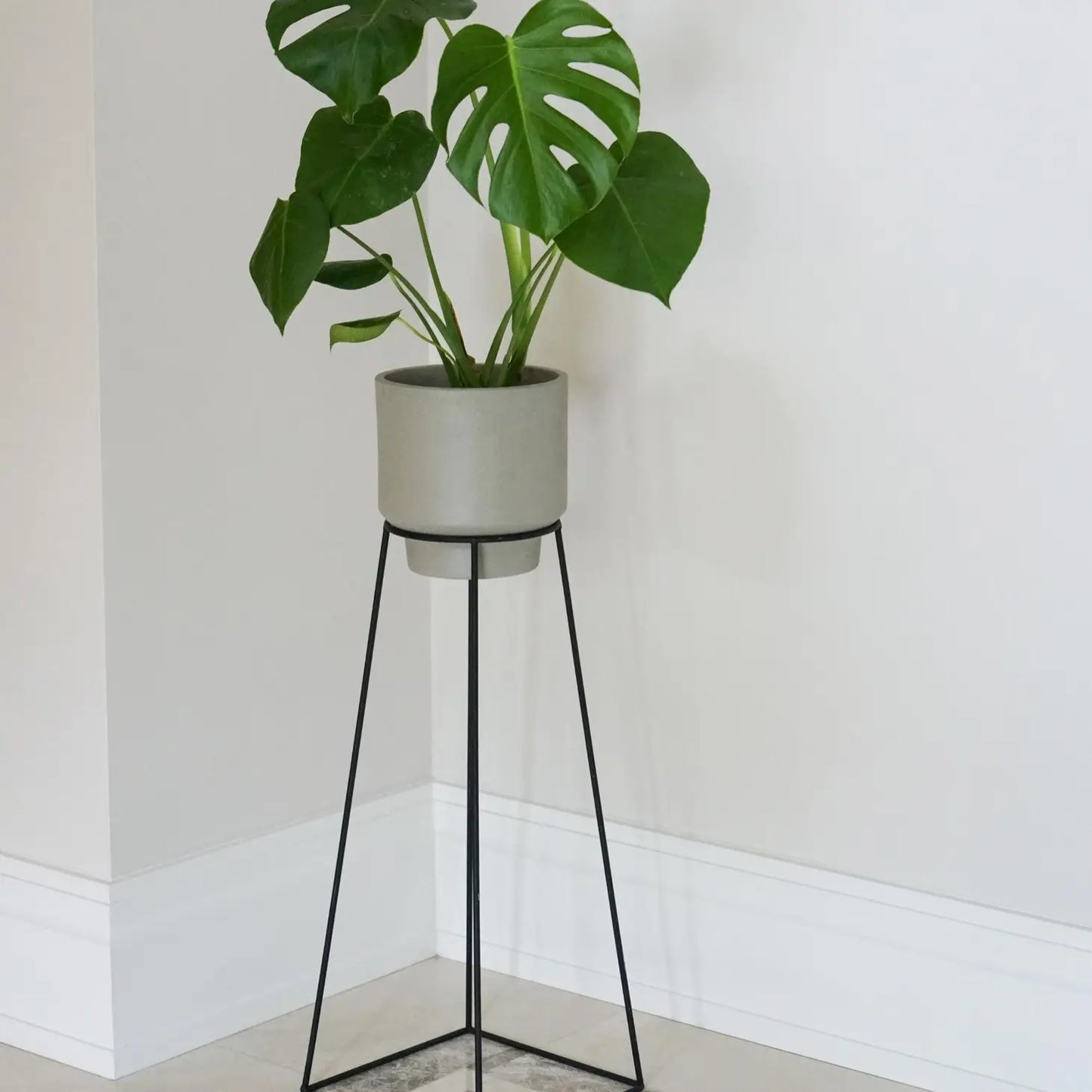 Minimo Plant Stand in Black