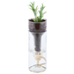 Self Watering Glass Pot / Planter