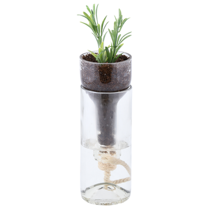 Self Watering Glass Pot / Planter