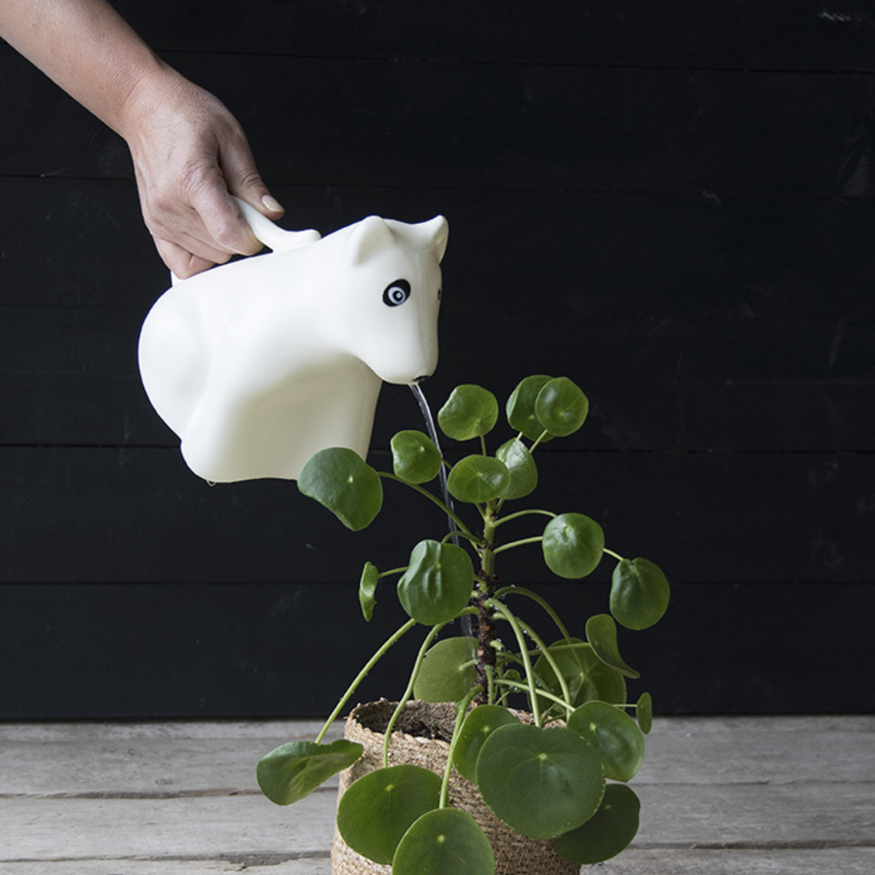 Quirky Dog Watering Can