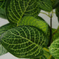Artificial Variegated Green Pothos Plant 40cm Plant