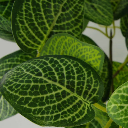 Artificial Variegated Green Pothos Plant 40cm Plant