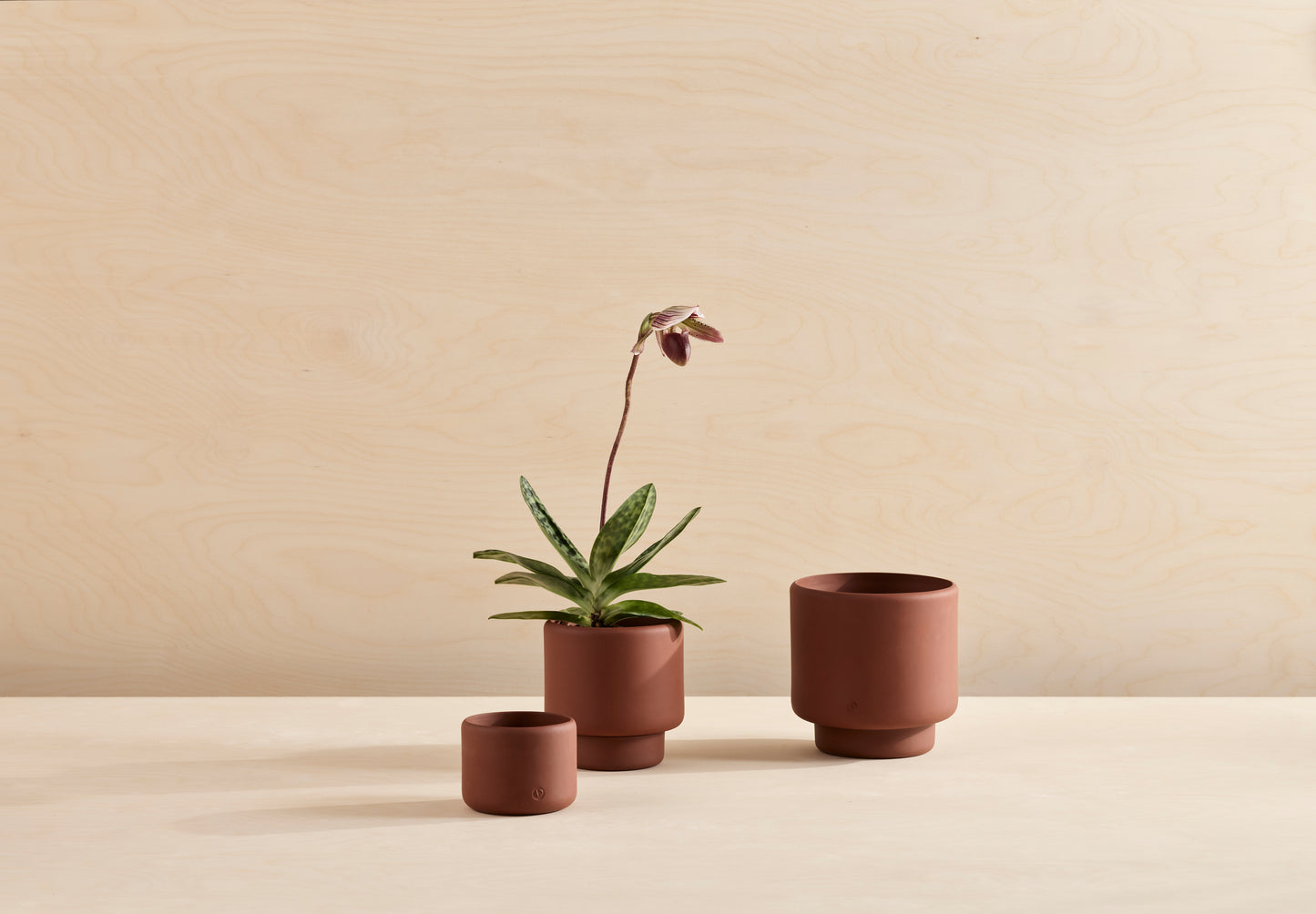 BOTANY Plant Pot MEDIUM Terracotta