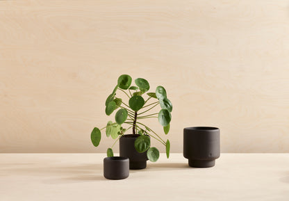 BOTANY plant pot LARGE Black