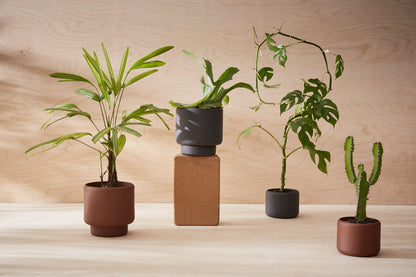 BOTANY Plant Pot Small Black